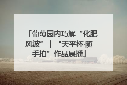 葡萄园内巧解“化肥风波”｜“天平杯·随手拍”作品展播