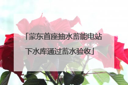 蒙东首座抽水蓄能电站下水库通过蓄水验收