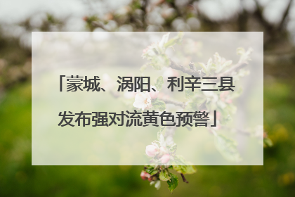 蒙城、涡阳、利辛三县发布强对流黄色预警