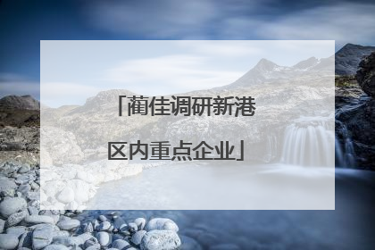 蔺佳调研新港区内重点企业
