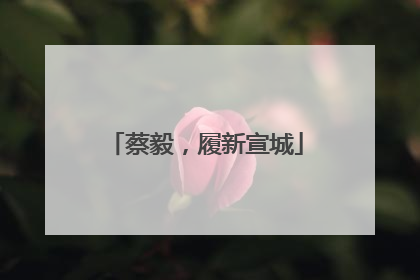 蔡毅，履新宣城