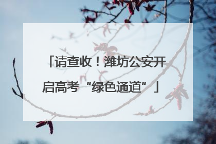请查收！潍坊公安开启高考“绿色通道”