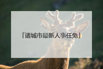 诸城市最新人事任免