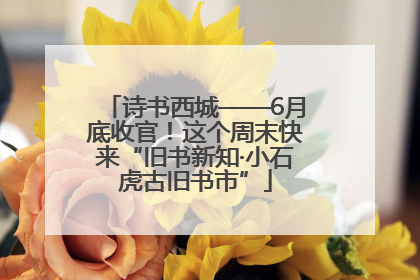 诗书西城——6月底收官！这个周末快来“旧书新知·小石虎古旧书市”