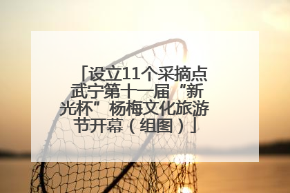 设立11个采摘点 武宁第十一届“新光杯”杨梅文化旅游节开幕（组图）