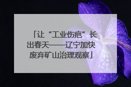让“工业伤疤”长出春天——辽宁加快废弃矿山治理观察
