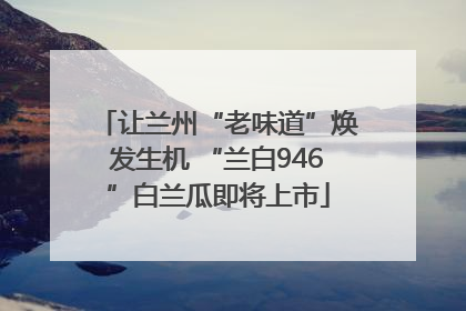 让兰州“老味道”焕发生机 “兰白946”白兰瓜即将上市