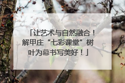 让艺术与自然融合！解甲庄“七彩课堂”树叶为幕书写美好！