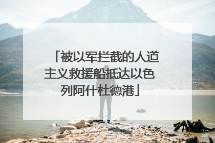 被以军拦截的人道主义救援船抵达以色列阿什杜德港