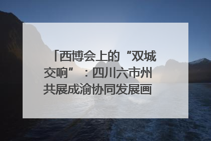 西博会上的“双城交响”：四川六市州共展成渝协同发展画卷｜西博视界