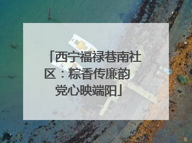 西宁福禄巷南社区：粽香传廉韵 党心映端阳