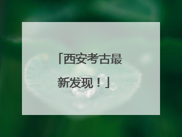 西安考古最新发现！