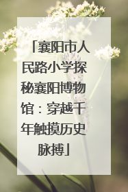 襄阳市人民路小学探秘襄阳博物馆：穿越千年触摸历史脉搏