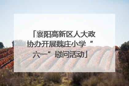 襄阳高新区人大政协办开展魏庄小学“六一”慰问活动