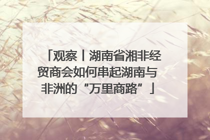 观察丨湖南省湘非经贸商会如何串起湖南与非洲的“万里商路”