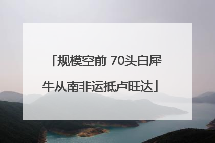 规模空前 70头白犀牛从南非运抵卢旺达