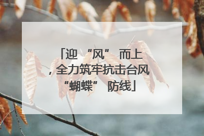 迎 “风” 而上，全力筑牢抗击台风 “蝴蝶” 防线