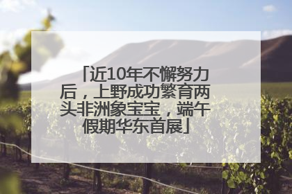 近10年不懈努力后，上野成功繁育两头非洲象宝宝，端午假期华东首展