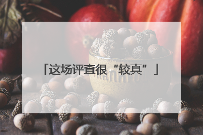 这场评查很“较真”
