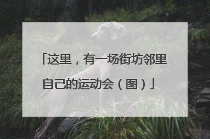 这里，有一场街坊邻里自己的运动会（图）