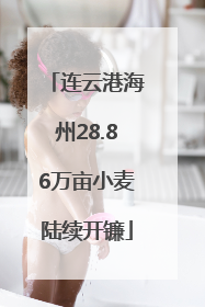 连云港海州28.86万亩小麦陆续开镰