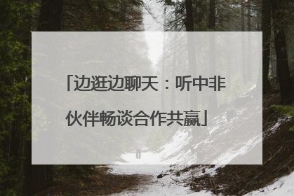 边逛边聊天：听中非伙伴畅谈合作共赢