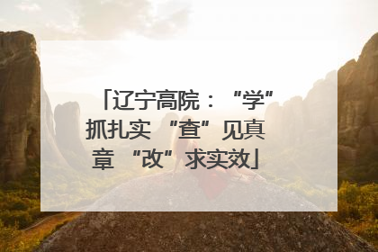 辽宁高院：“学”抓扎实 “查”见真章 “改”求实效