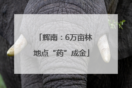 辉南：6万亩林地点“药”成金