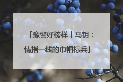 豫警好榜样丨马钥：情指一线的巾帼标兵