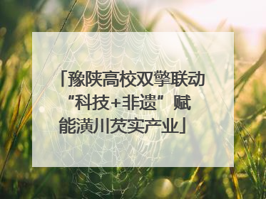 豫陕高校双擎联动 “科技+非遗”赋能潢川芡实产业