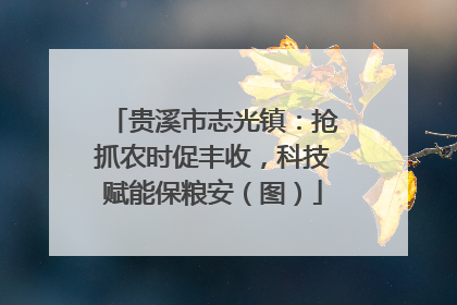 贵溪市志光镇：抢抓农时促丰收，科技赋能保粮安（图）