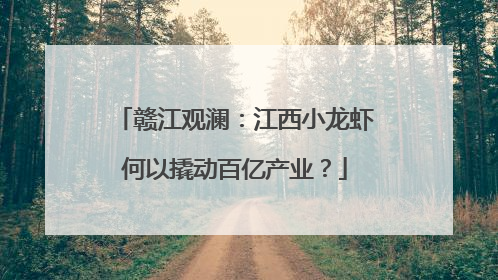 赣江观澜：江西小龙虾何以撬动百亿产业？