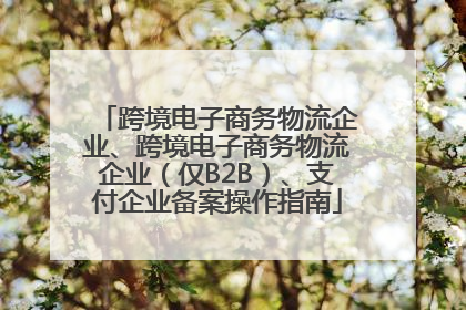 跨境电子商务物流企业、跨境电子商务物流企业（仅B2B）、支付企业备案操作指南