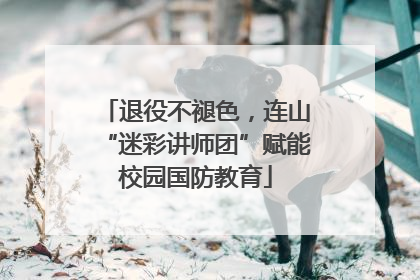 退役不褪色，连山“迷彩讲师团”赋能校园国防教育