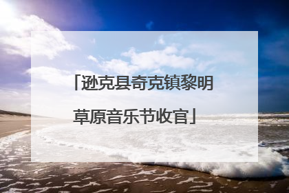 逊克县奇克镇黎明草原音乐节收官