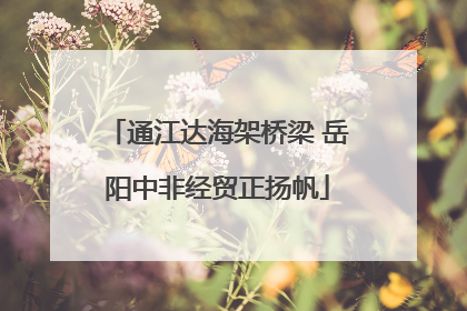 通江达海架桥梁 岳阳中非经贸正扬帆