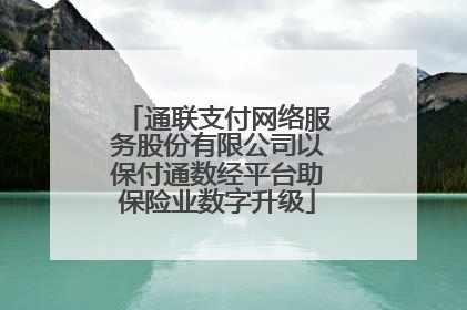 通联支付网络服务股份有限公司以保付通数经平台助保险业数字升级