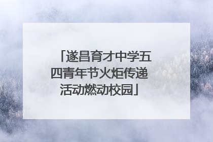 遂昌育才中学五四青年节火炬传递活动燃动校园