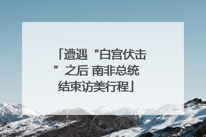 遭遇“白宫伏击”之后 南非总统结束访美行程