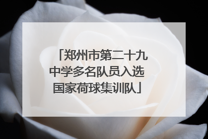 郑州市第二十九中学多名队员入选国家荷球集训队