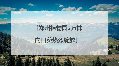 郑州植物园2万株向日葵热烈绽放