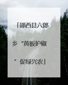 郧西县六郎乡“黄板护椒”促绿兴农