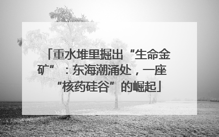 重水堆里掘出“生命金矿”：东海潮涌处，一座“核药硅谷”的崛起