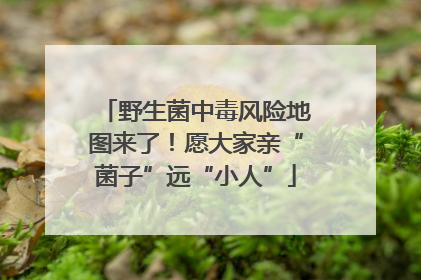 野生菌中毒风险地图来了！愿大家亲“菌子”远“小人”