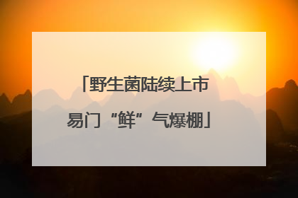 野生菌陆续上市 易门“鲜”气爆棚