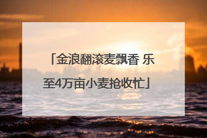 金浪翻滚麦飘香 乐至4万亩小麦抢收忙
