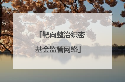 靶向整治织密基金监管网络
