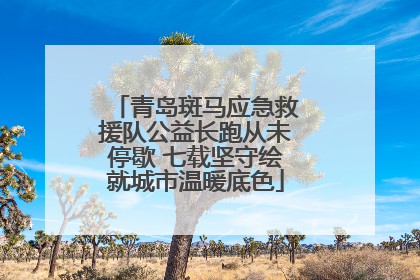 青岛斑马应急救援队公益长跑从未停歇 七载坚守绘就城市温暖底色