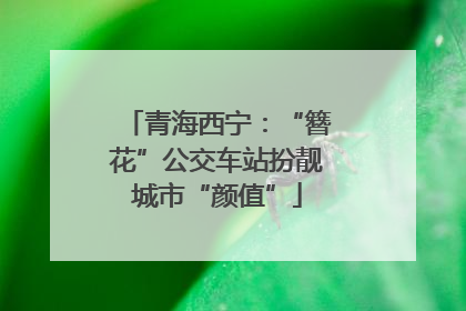 青海西宁：“簪花”公交车站扮靓城市“颜值”