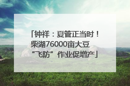 钟祥：夏管正当时！柴湖76000亩大豆“飞防”作业促增产